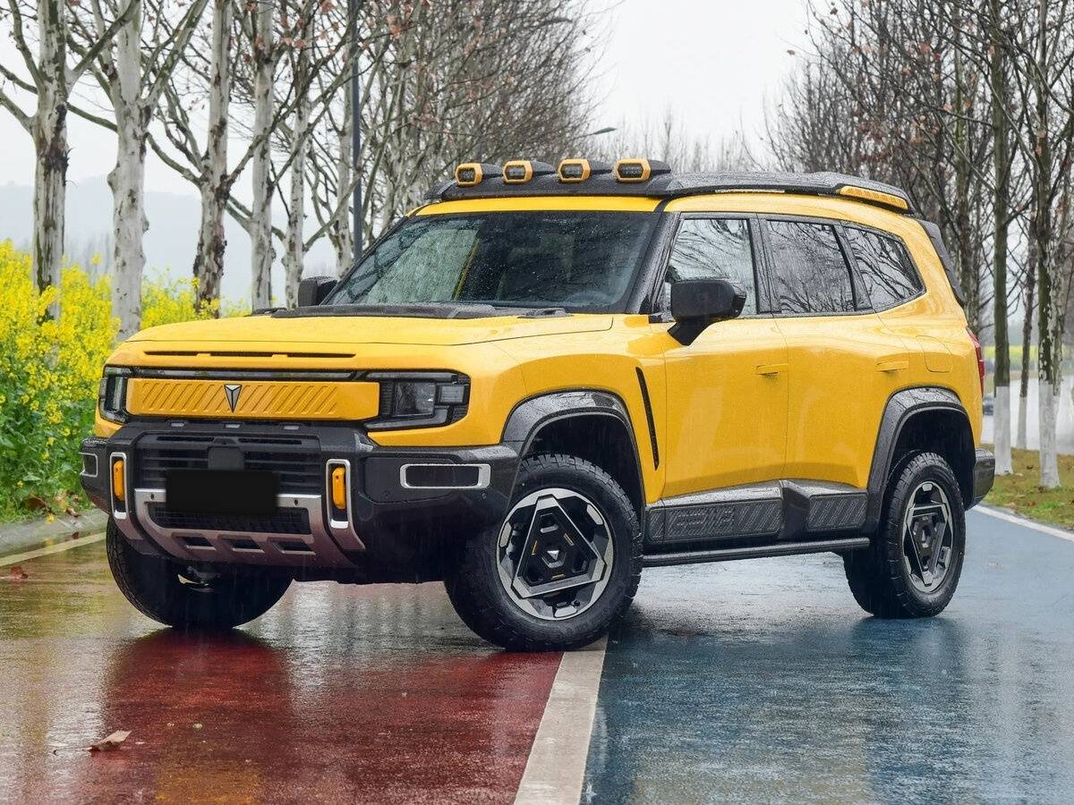 Выбранный автомобиль